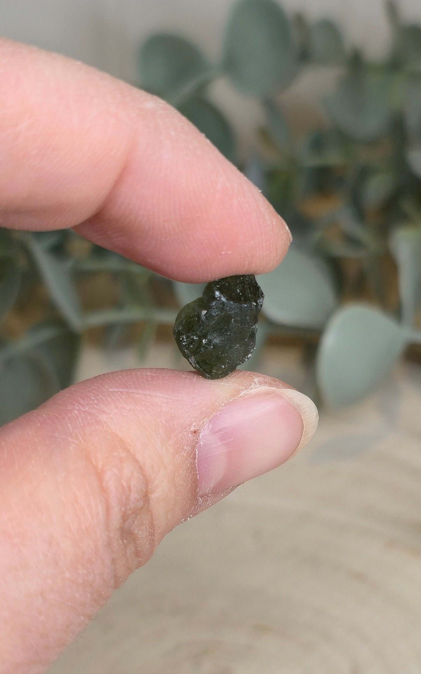 Moldavite brute