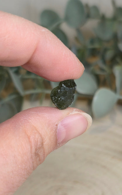Moldavite brute
